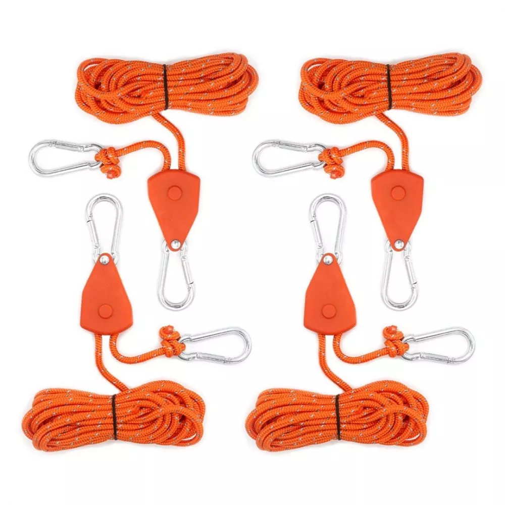 20250423-095213 20250423-095213