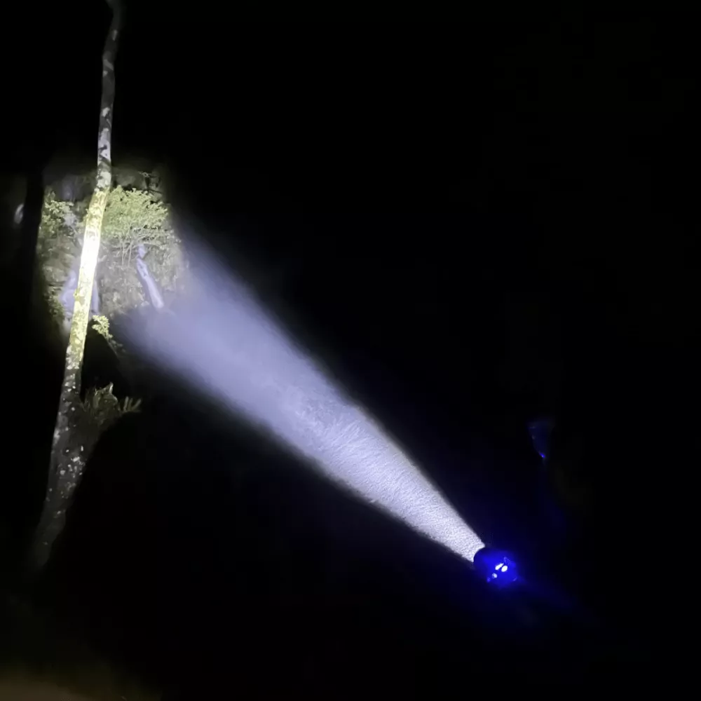 TAHAN Supernova Torchlight V2 night 4 TAHAN Supernova Torchlight V2 night 4