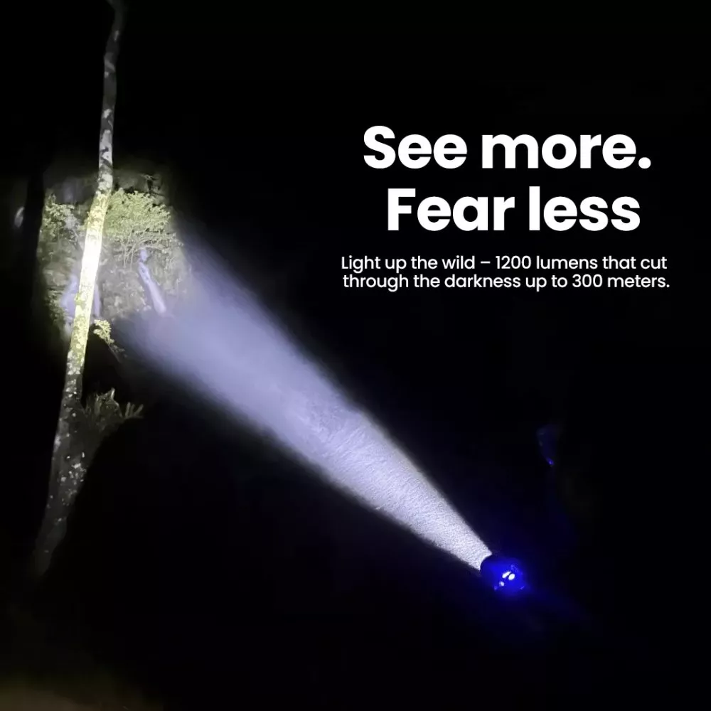 tahan-supernova-torchlight-night tahan-supernova-torchlight-night